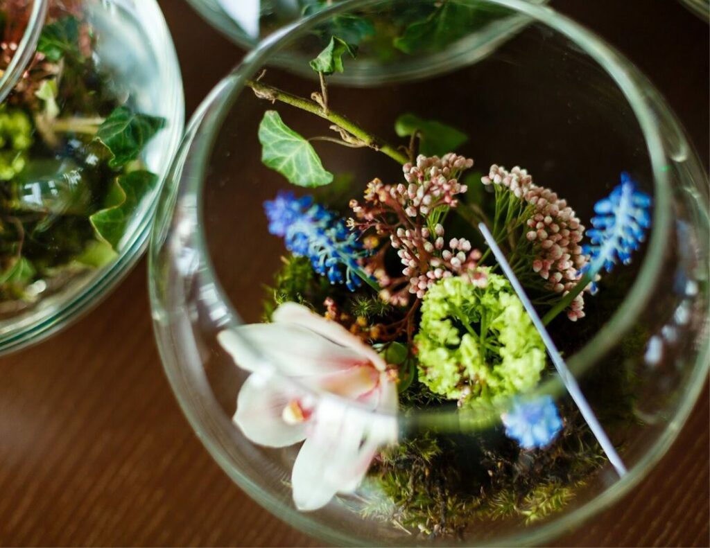 Your StepbyStep Guide to Creating an Orchid Terrarium