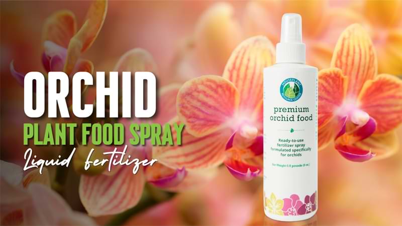 Orchid Fertilizer: Orchid Plant Food Spray